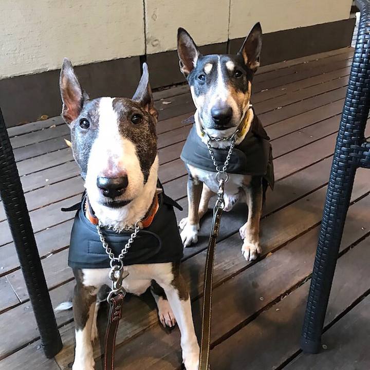 D69fcaa9 bba8 4956 ad47 9b7c838d9ee4 1517114217167