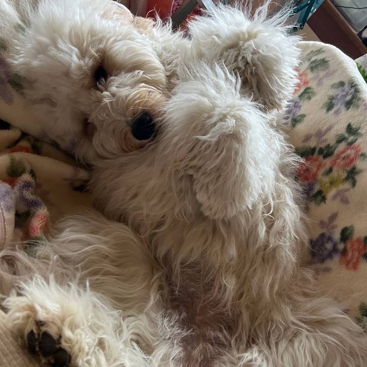 D69ffb33 61cf 4cb2 89b8 ce339581a221 1743719451482