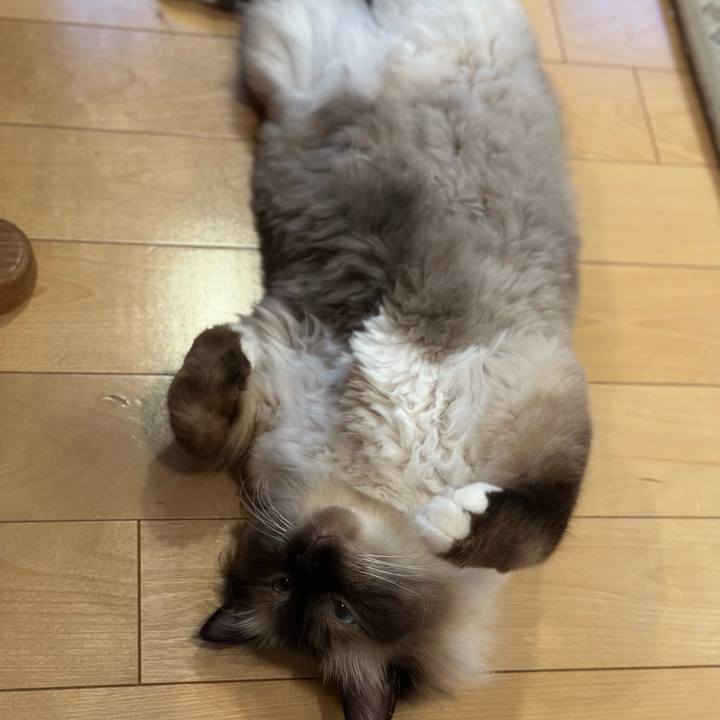 D6a02edb f8d3 49f4 977a 6e5b370fcbd9 1721703665706