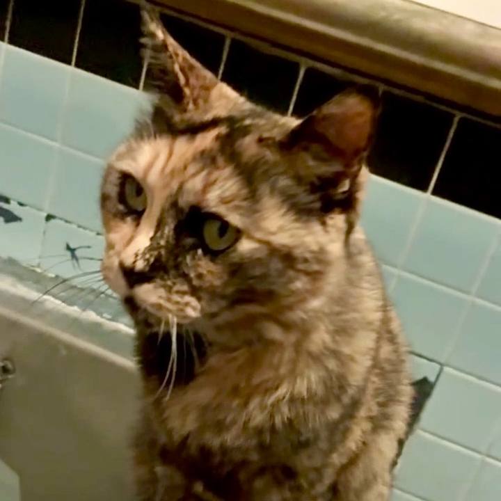 D6a03182 77d0 4873 9a0e 4f512f365428 1749151073174