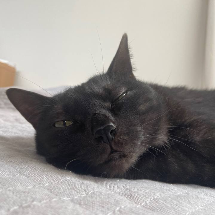 D6a09dc2 ce71 4528 9309 b41087af1783 1686091495328