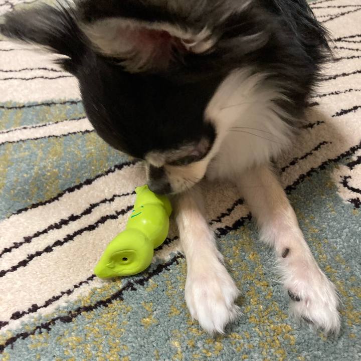 D6a0acc5 bd76 4884 a53a 77041edfbafe 1621691519482