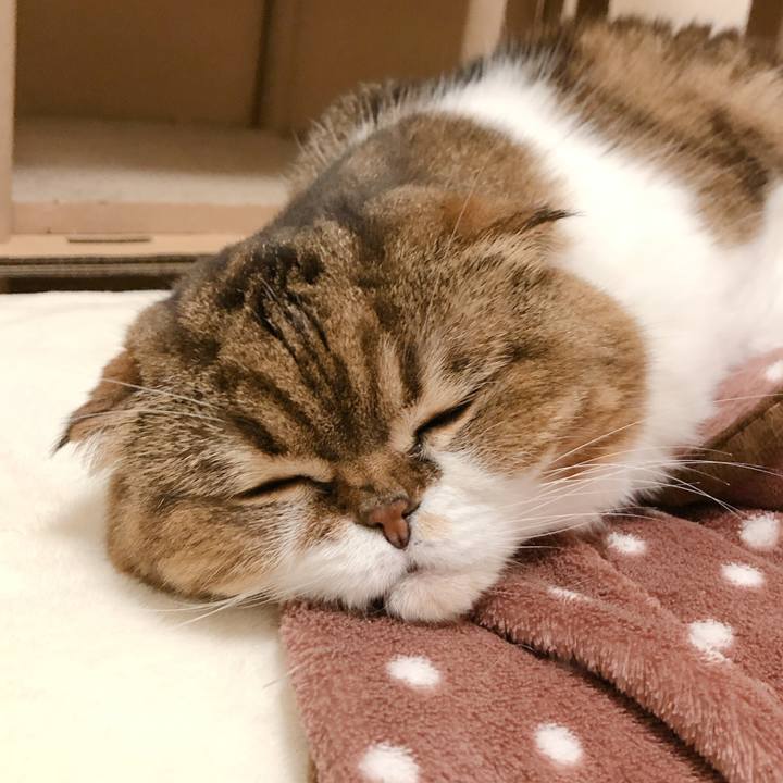 D6a0f4d1 e92c 4ae7 9a43 9ae70fc85a84 1602113577979