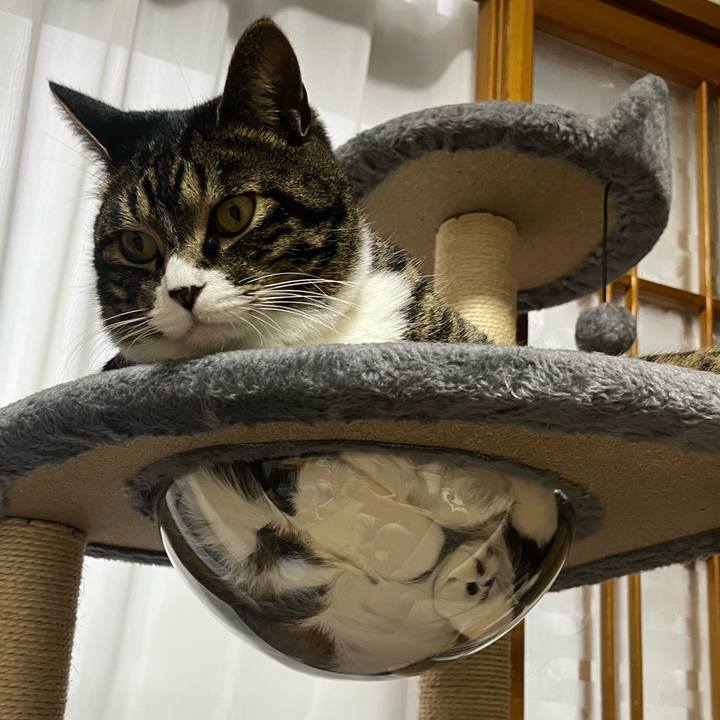 D6a104d3 69fc 4b81 a2e4 12b6288310f1 1765410374803