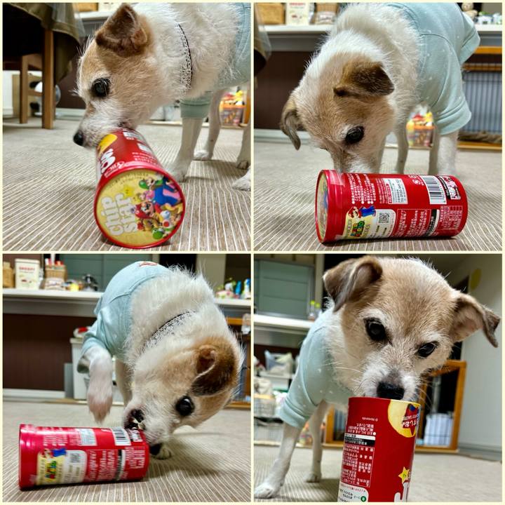 D6a11729 f4d7 4ee3 8343 9609b8591fd8 1699698305075