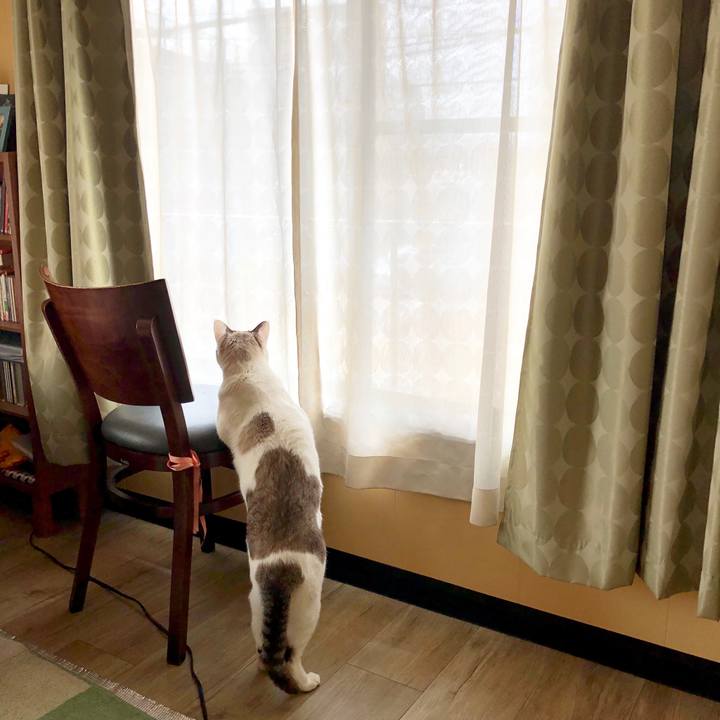 D6a12233 3d71 40d8 a4f2 c01a960d836d 1585876352117