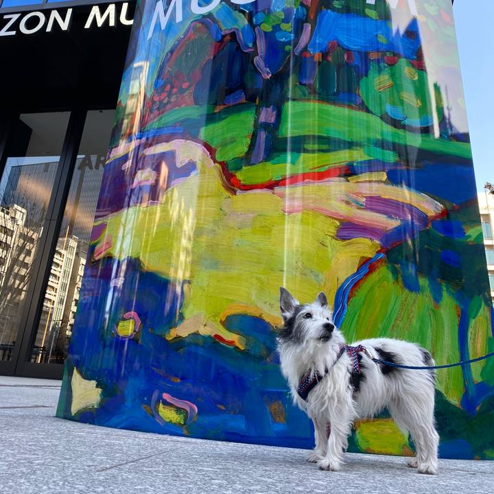 D6a134f7 99f8 4690 a4e0 cbbf745cb1a2 1613030154213