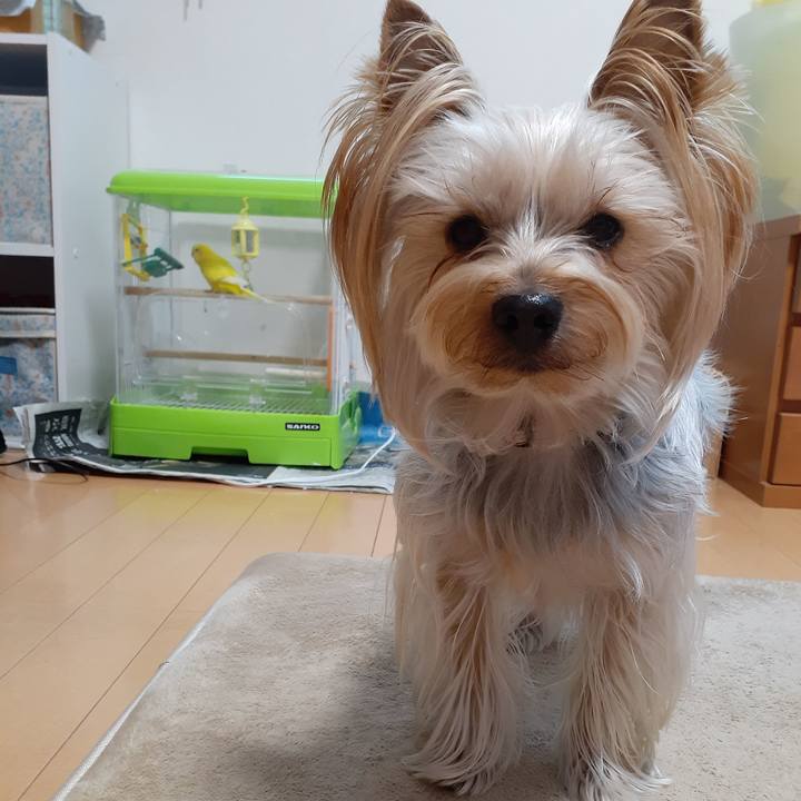 D6a1604e 6c0d 400a aa25 5676cf20e354 1580971289883