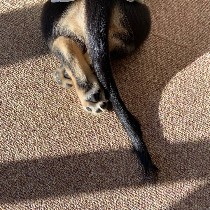 D6a16a29 4fd9 4121 9c1f 3185450f08bf 1669504382213