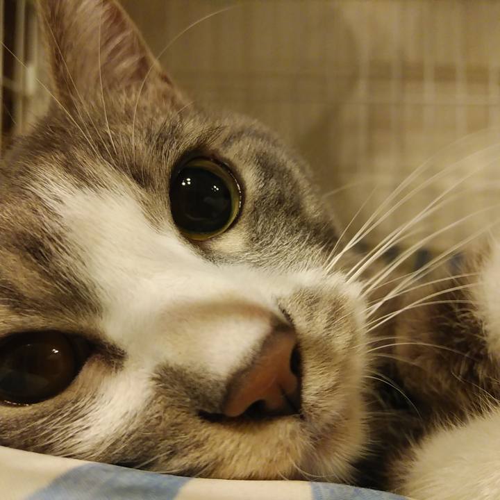 D6a16d98 61ae 4bed 833a 753841c804f6 1585582660180