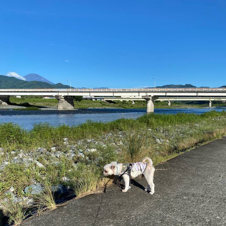 D6a1b717 3dd0 47cf 8a06 ddf3c751b99b 1723847771468