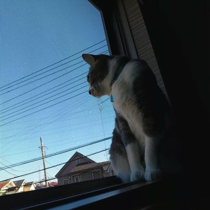 D6a1cc38 727f 4256 8dd0 d4175f06b234 1640487553070