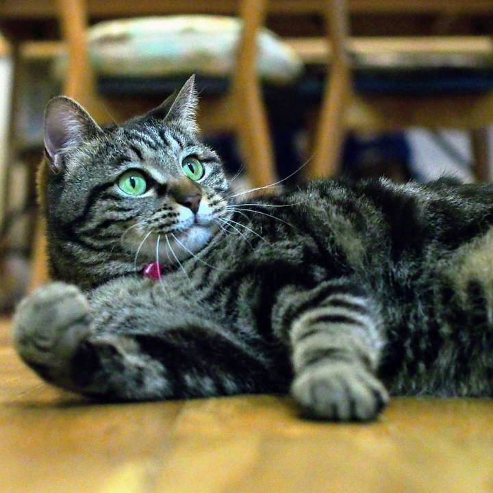 D6a20238 9e2c 4819 b2ea 3347cabbbf3c 1587472119641