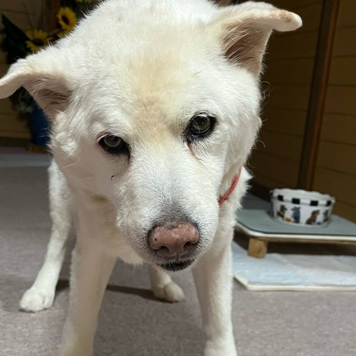 D6a205a0 8d6d 476c b6b8 541eda24bdac 1768779260809