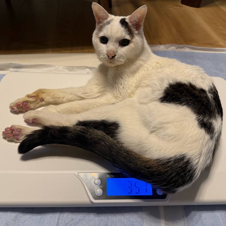 D6a20ca1 e604 4eb5 add4 32063892340a 1768876431273