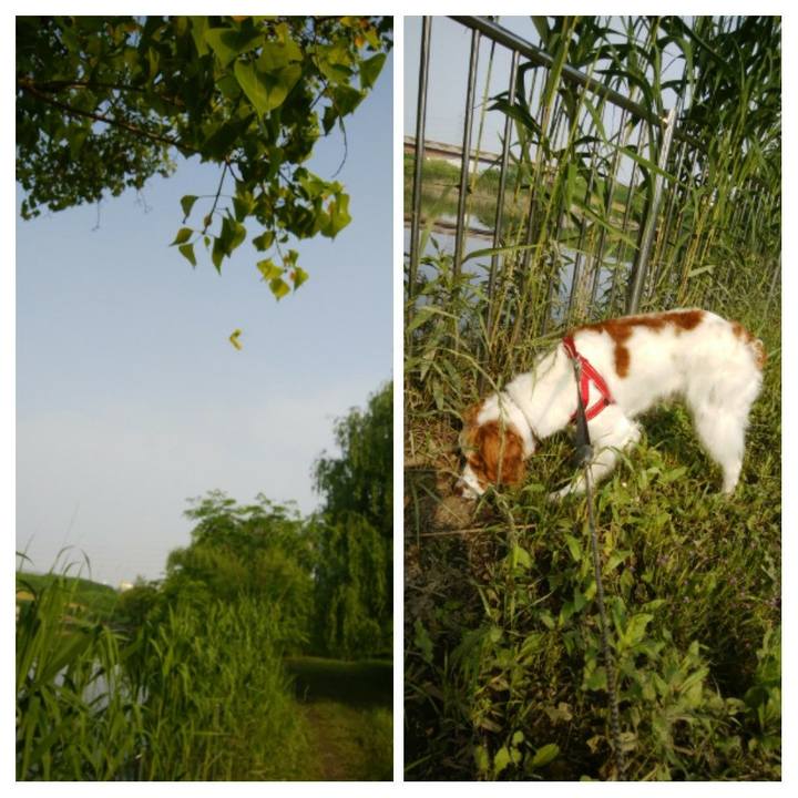 D6a21760 05c4 4603 80af 9998fc90e2c8 1526603110951