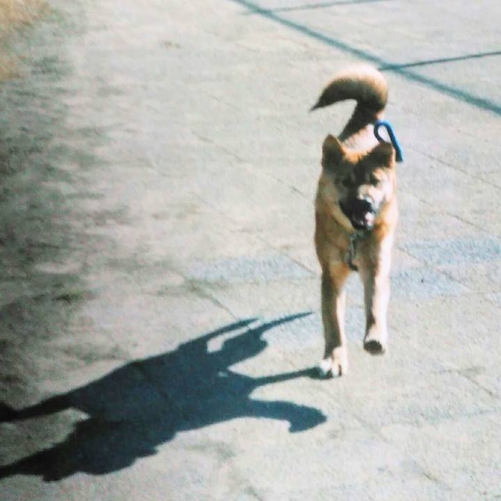 D6a2683e 0d90 403d 81bb 6910c78fffc0 1597300160243