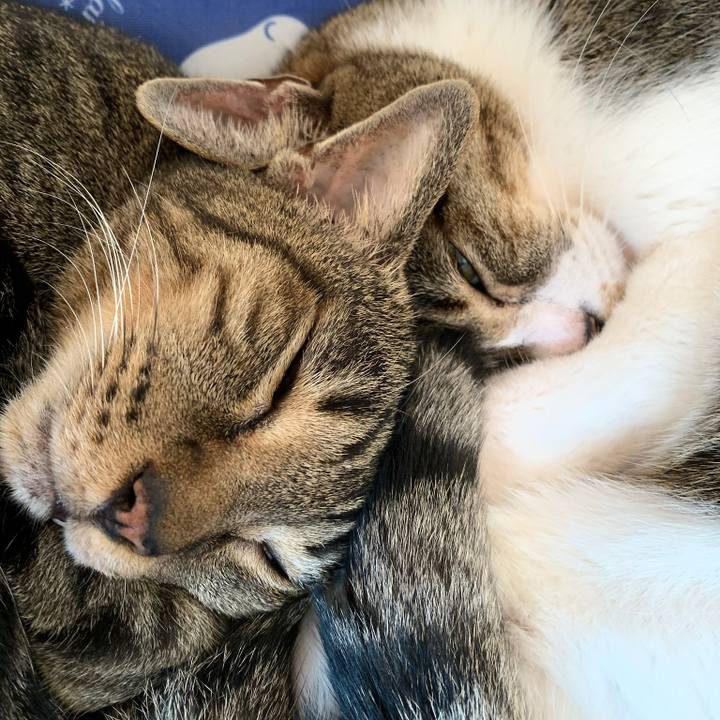 D6a27365 5d5a 45eb 86cd 3b452f31450f 1571792654106