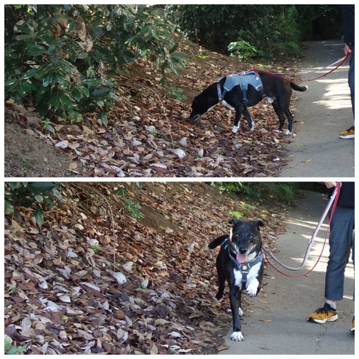 D6a27a7c 7f4d 4841 8fcf 288543e69f10 1727830293643