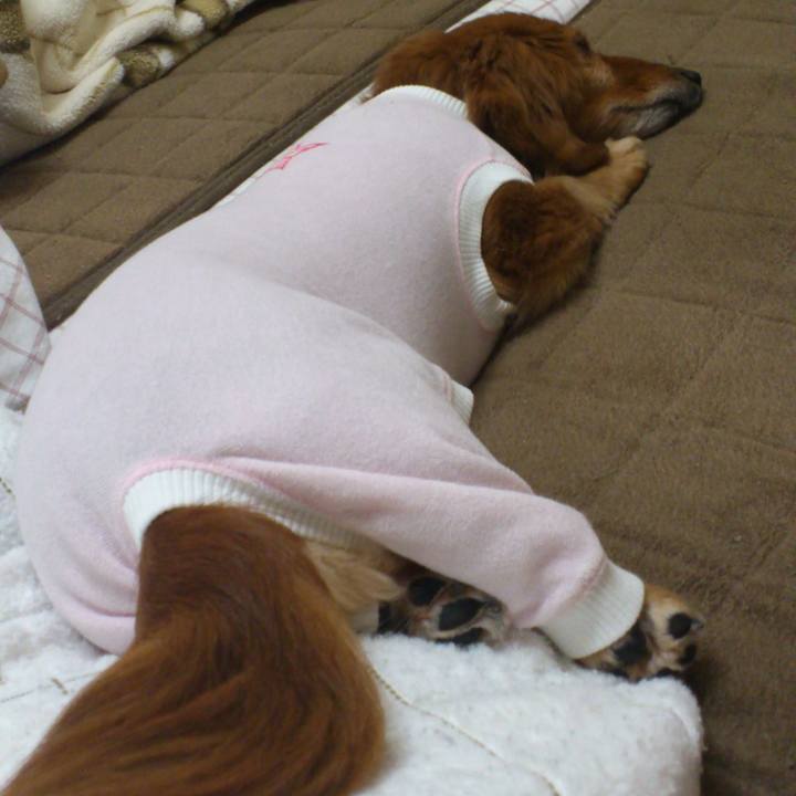 D6a2af69 a410 419c 8ff1 8e633faf1821 1557511771228