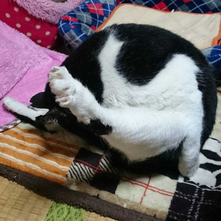 D6a2cc1a bafe 4d2c aa61 1e57413a140b 1521676613965