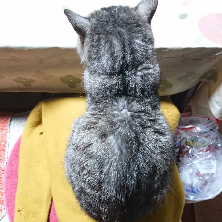 D6a2d9b9 9616 4a13 b3c4 cb39f70be269 1572640231229