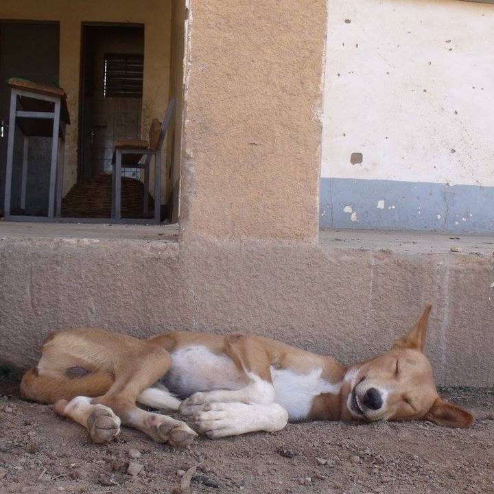 D6a2ddc3 5257 464e bc5e c133fd51e778 1550662240954