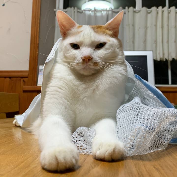 D6a2e510 1b6a 4795 a22e 8f756c673450 1659965818282