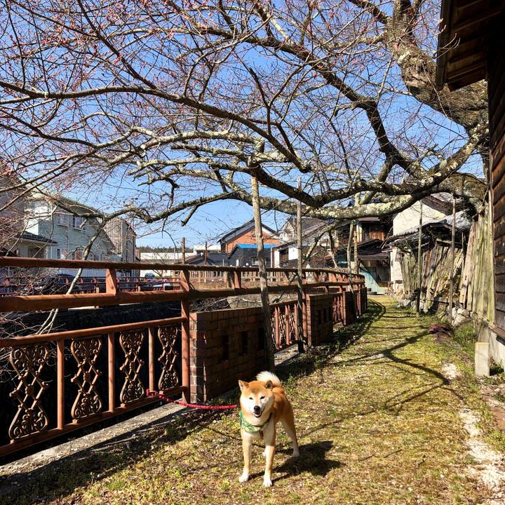 D6a368de d013 4e6a a7d1 8b2603658b41 1553596829546