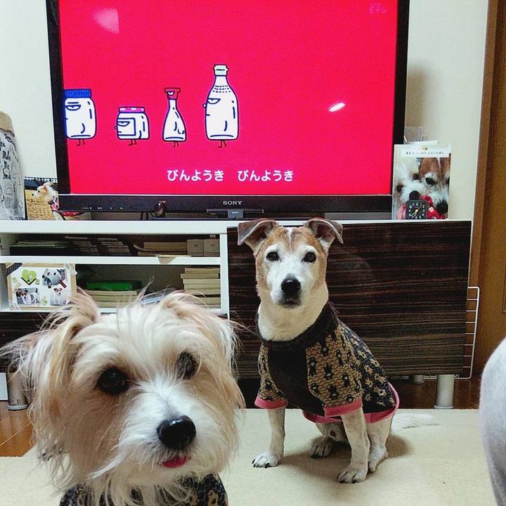 D6a36d20 5837 4646 98ec 1e974601db71 1582669371067