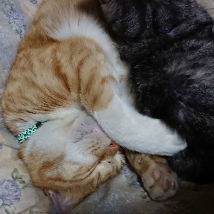 D6a36fa5 3152 464c a6ca ead5788779da 1579957473027