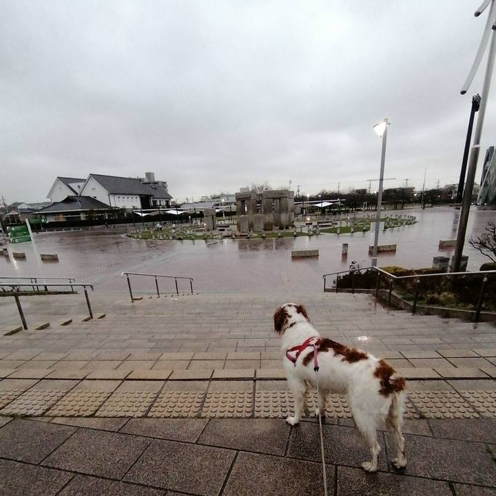 D6a3d448 b1ab 4b90 90d5 2dc9cd1dbdd3 1583830280792