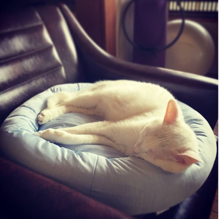 D6a3e45a 8ac1 428e 9fe0 0a5fc936dc4f 1526348317166