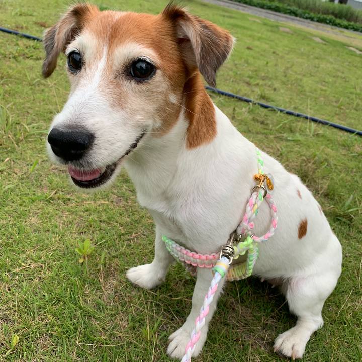 D6a4426e bcad 4591 a438 a66190d80405 1565915508606