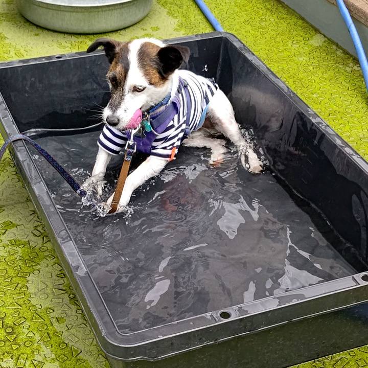 D6a47a3e d01a 46b3 afa9 ec9386443ccd 1687269615719