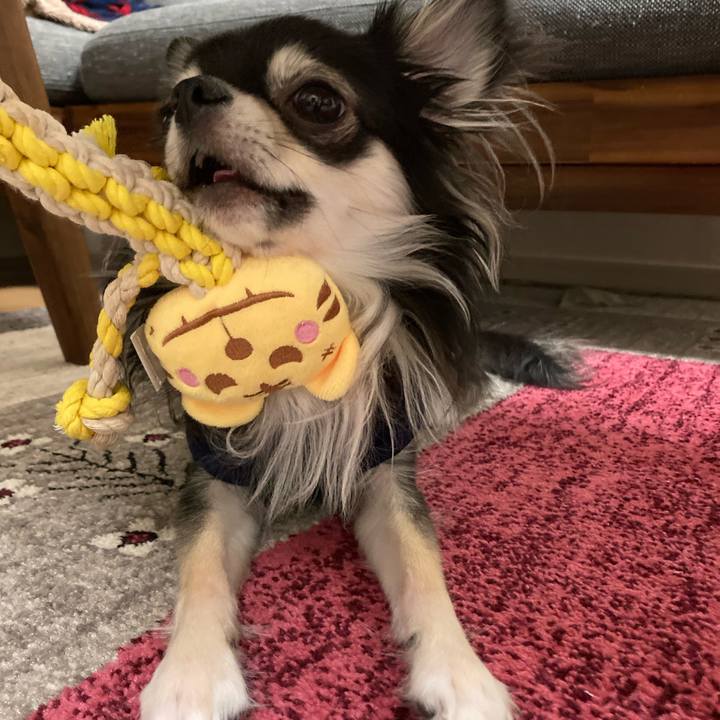 D6a4813b 13c5 487e 84df e67974fec215 1616939354352