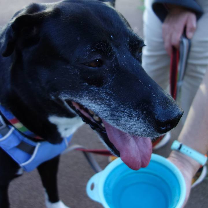 D6a48188 d42b 4893 a88f 03e4a229eb82 1722297616533