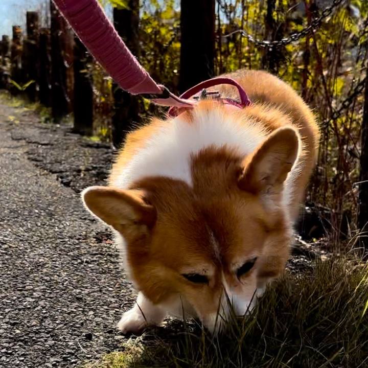 D6a4c2ac b172 4c91 ac39 94901ecfbe8e 1733027604677