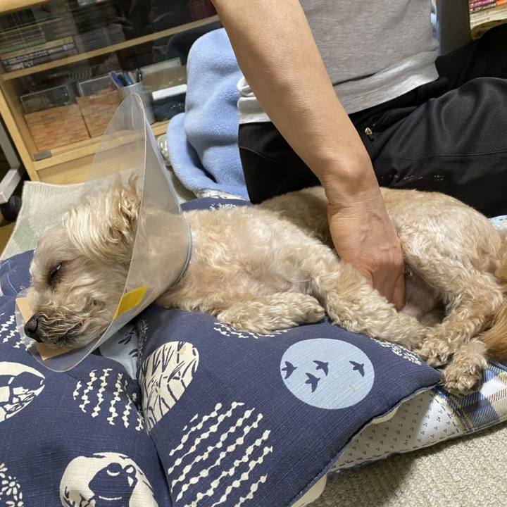 D6a4d5c5 6902 4838 bc52 4e40f28bcfa7 1590150662122