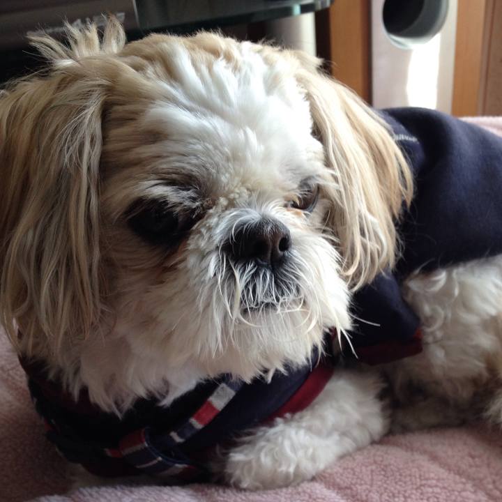 D6a5014d 306d 4c23 8239 0878bed50a99 1512597459755