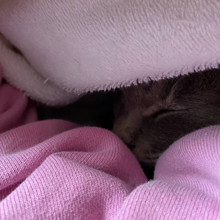 D6a5528e 08e8 4ca4 9a72 0c18931a07bf 1634169288135