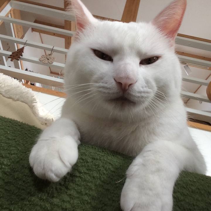 D6a58dc8 de09 4246 9da6 71ca7a1f30e8 1569589964145