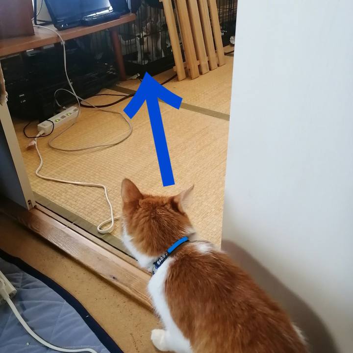 D6a5ad6f 4f81 41d3 b333 7dc3ca06b353 1626995043168