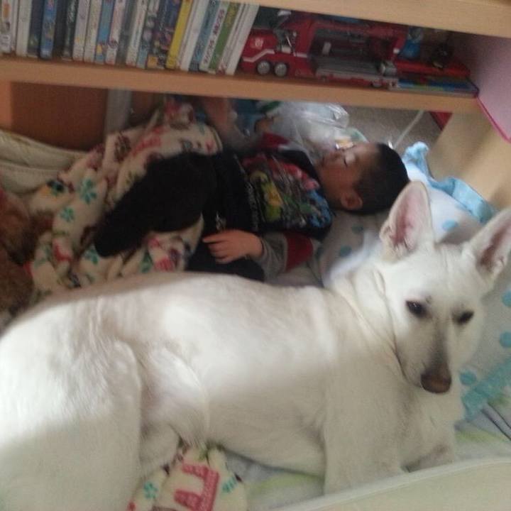 D6a61e79 b15c 4270 b65e c010f6eba550 1571037258571