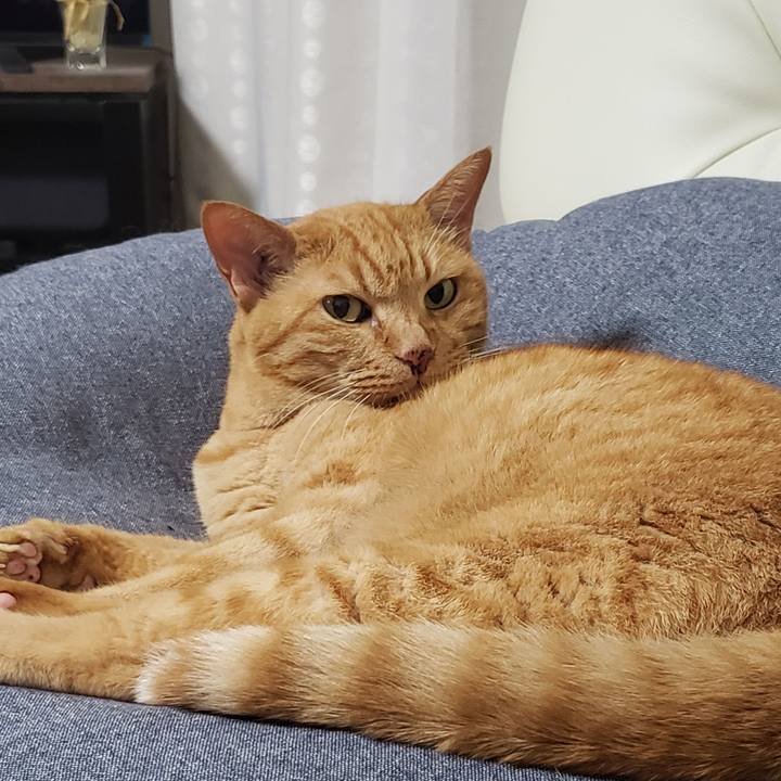 D6a62567 e644 4dc7 b749 8ee4f5c927ac 1722217393054