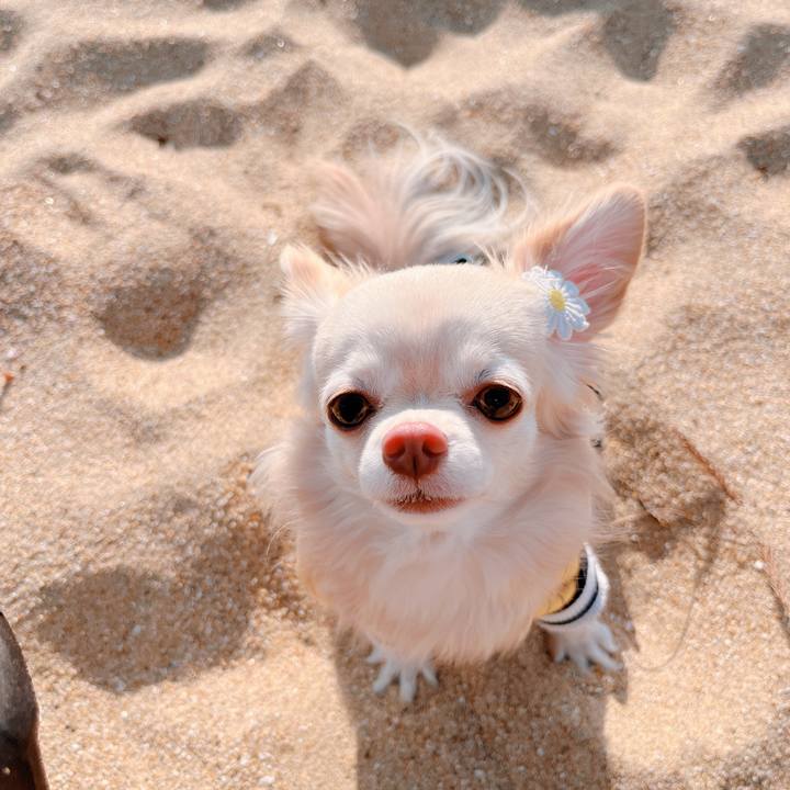 D6a64e95 654a 4ffb 9d7e f82729bfd87f 1673336212782