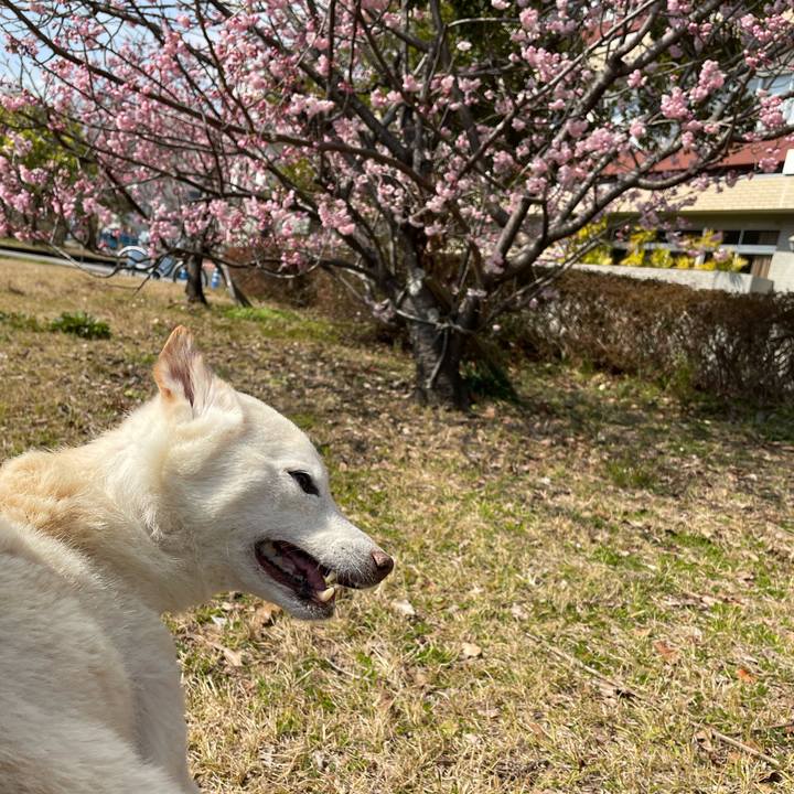 D6a653aa 690e 4412 a474 1a8204e2ce70 1677298262150