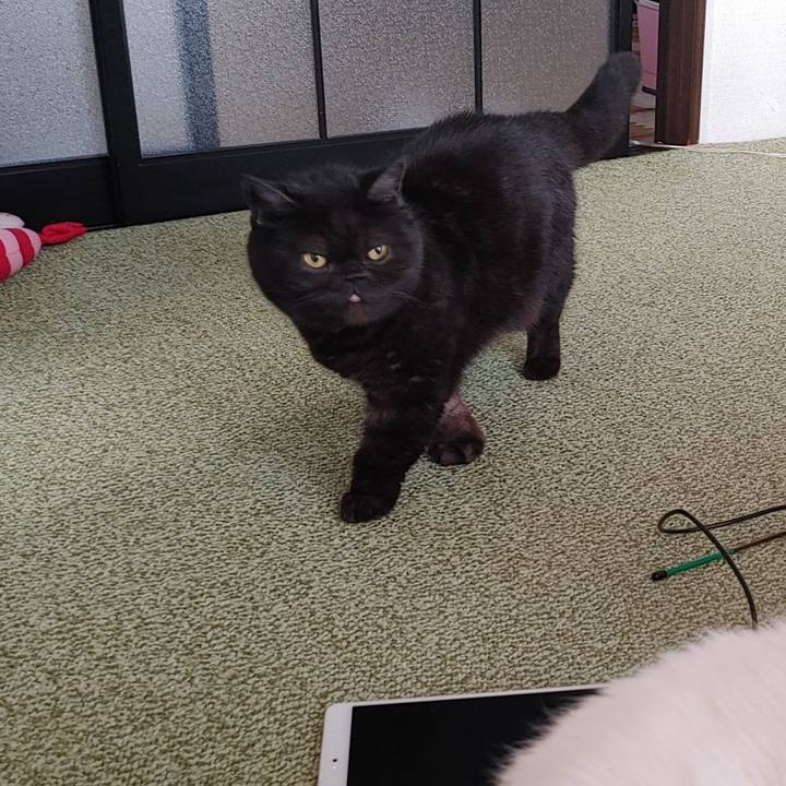 D6a69d98 075d 4d42 9d8e 5dd9fd51fe0d 1644646115396