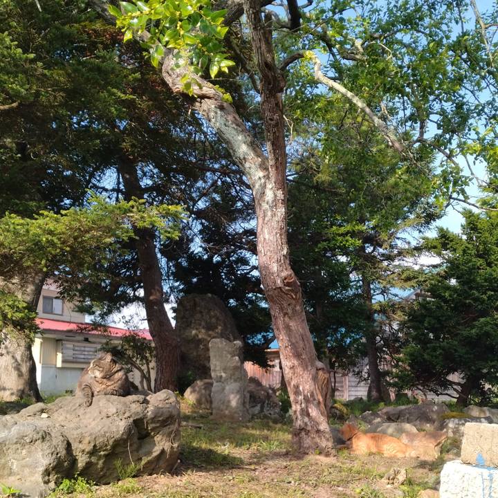 D6a6a628 0d02 4dbb 89d1 534472cf66fd 1688427616997