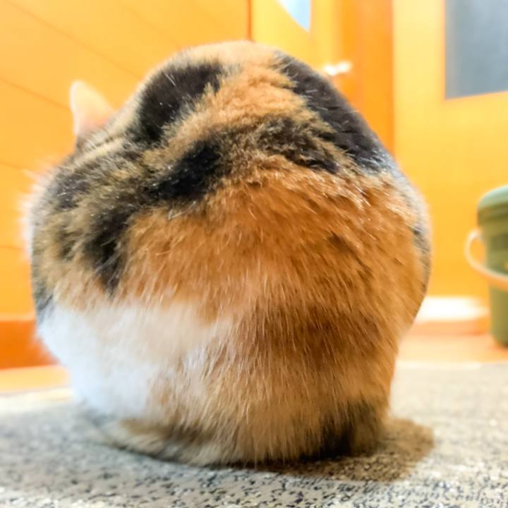 D6a6bf48 6e73 42d8 8fc0 e39239c4b566 1577152073764